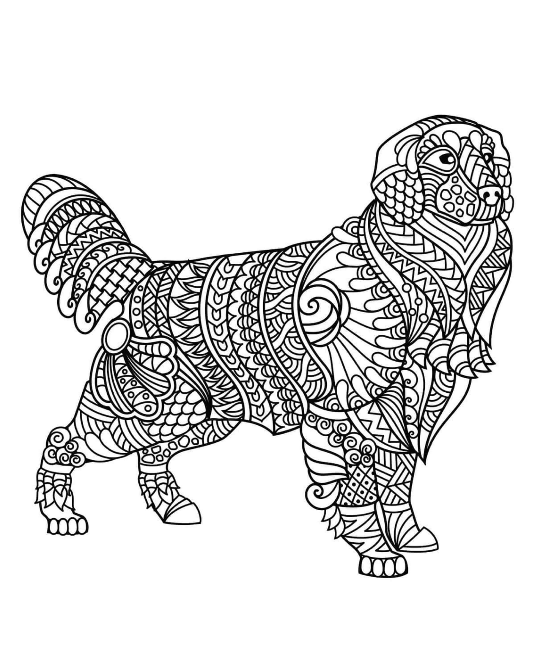 Mandala Beautiful Dog Coloring Page Mandala