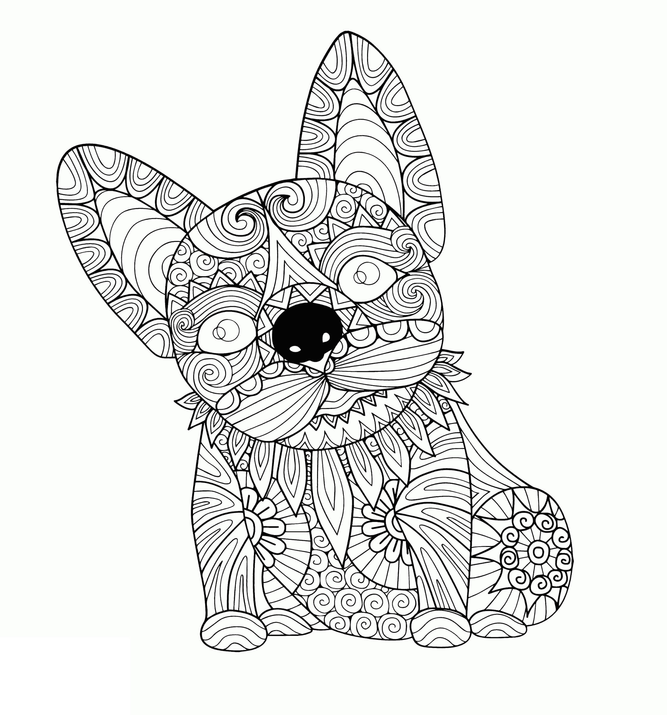 Mandala Bull Dog Coloring Page Mandala