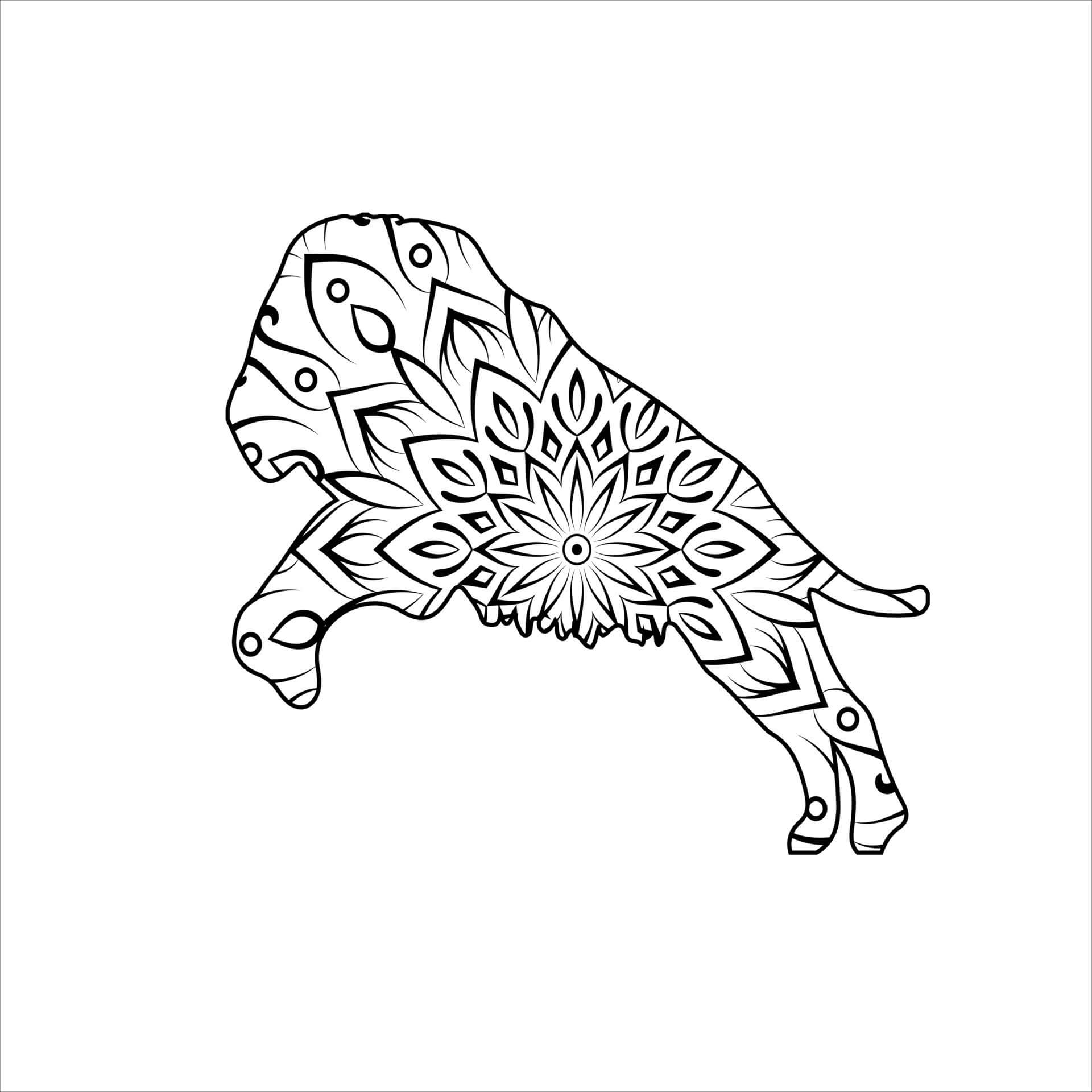 Mandala Cool Lion Jumping Coloring Page Mandala