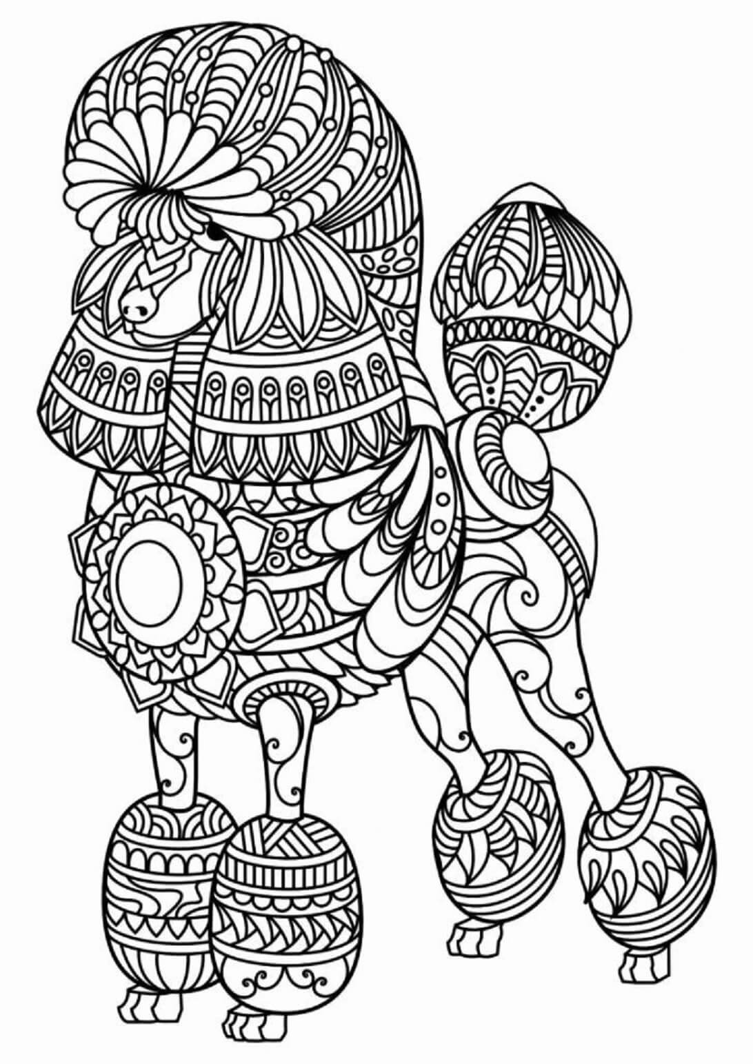 Mandala Dog Coloring Page – Sheet 16 Mandala