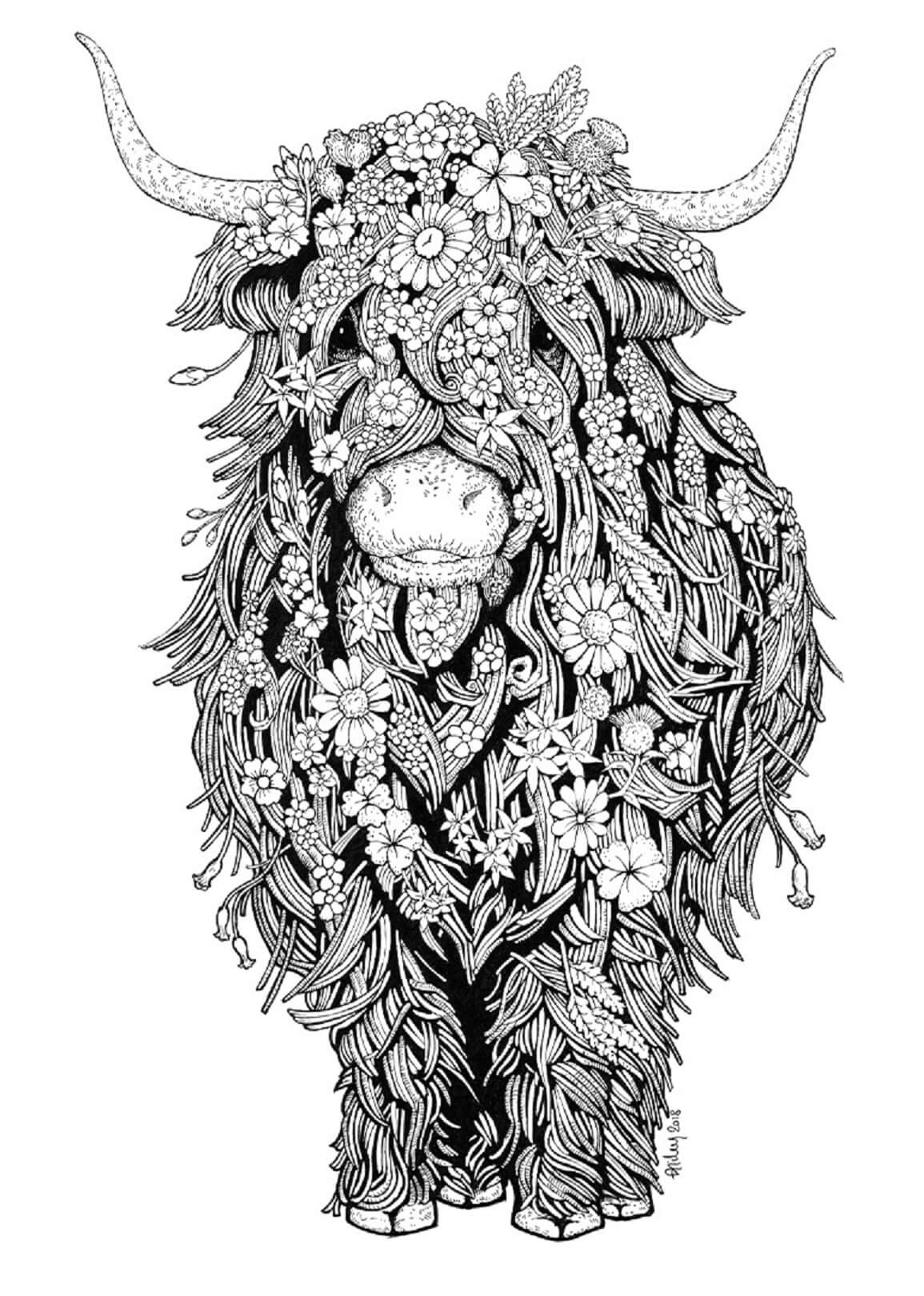 Mandala Bison Cow Coloring Page Mandala