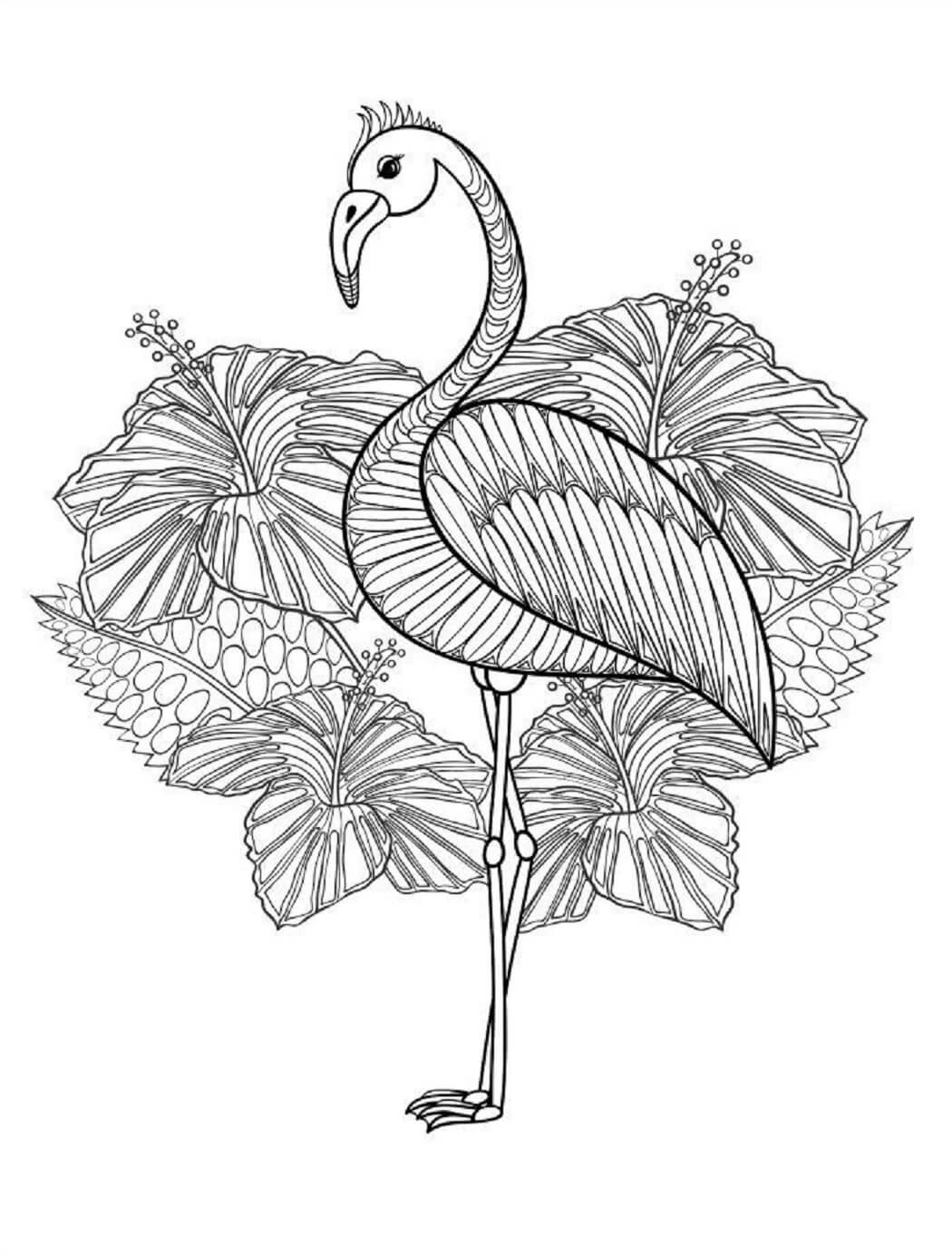 Mandala Flamingo Mandala Coloring Pages Mandalas