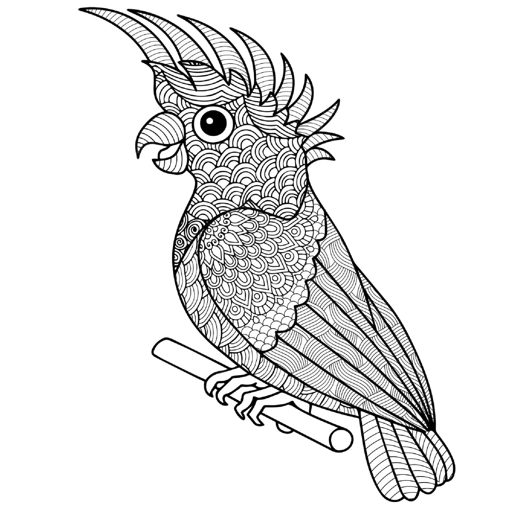 Mandala Birds Coloring Pages Mandalas