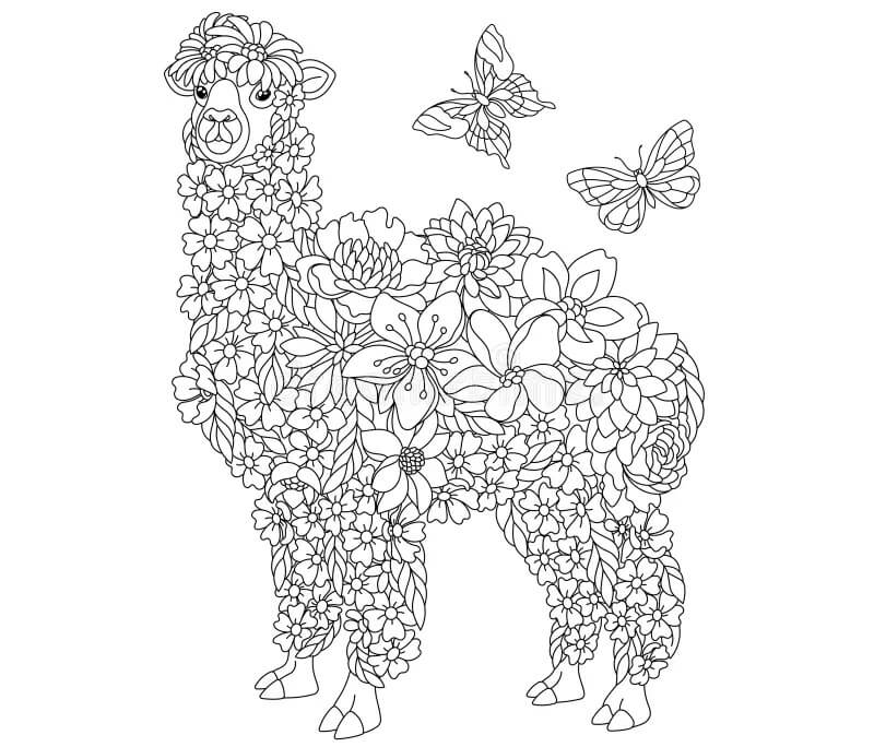 Mandala Llama Coloring Pages Mandalas