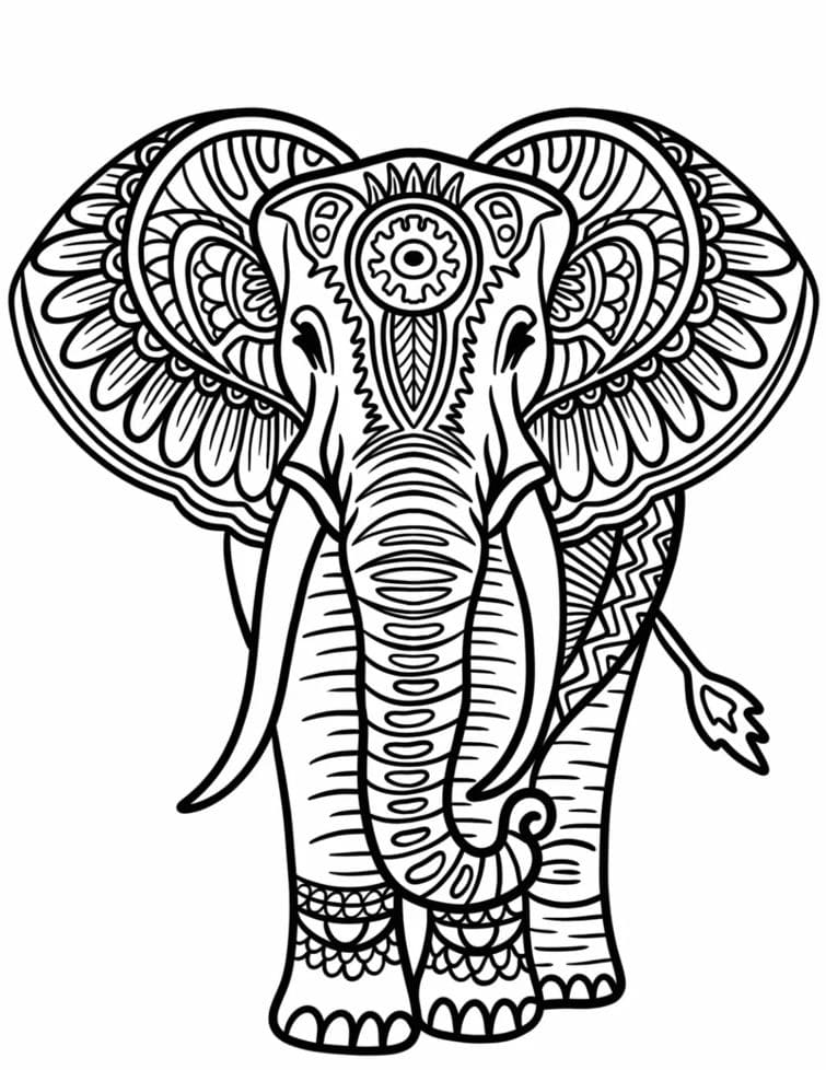 Elephant Big Animal Mandala Coloring Page Mandalas