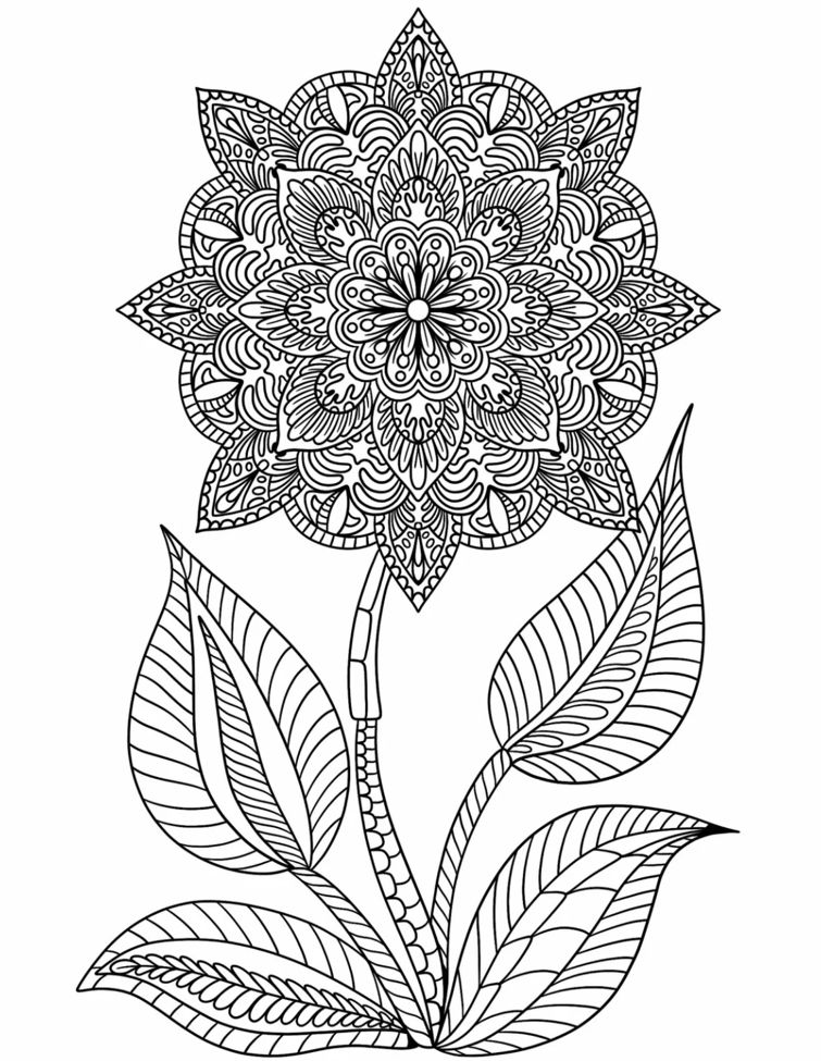 Flower Mandala With Stem Coloring Pages Mandalas