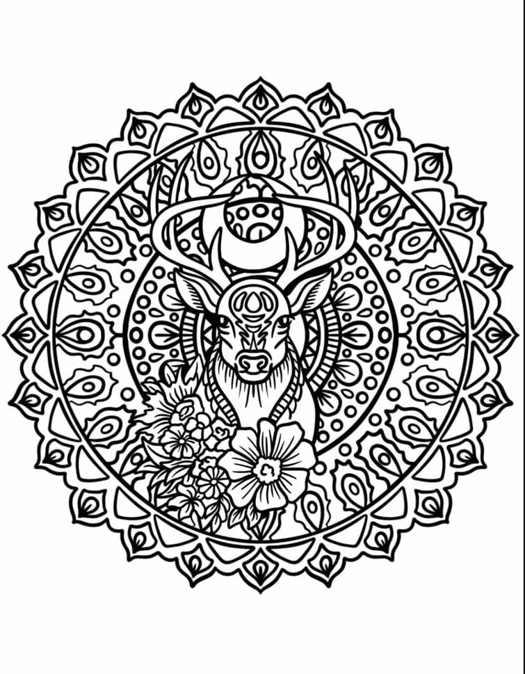 Majestic Deer Animal Mandala Coloring Page Mandalas