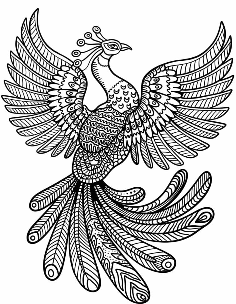 Peacock Animal Mandala Coloring Pages Mandalas