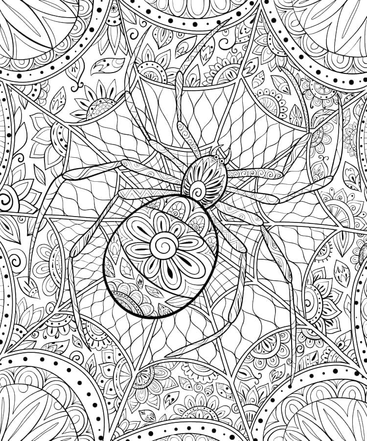 Adorable Spider Mandala Coloring Page Mandalas