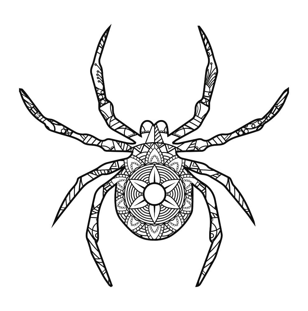 Amazing Spider Mandala Coloring Page Mandalas