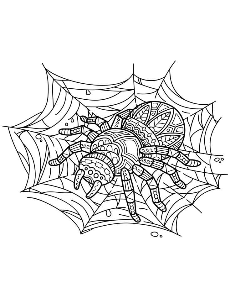 Awesome Spider Mandala Coloring Page Mandalas