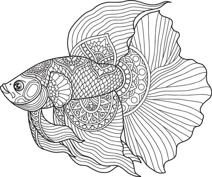 Basic Fish Mandala Coloring Page Mandalas