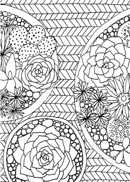 Beautiful Cactus Mandala Coloring Page Mandalas