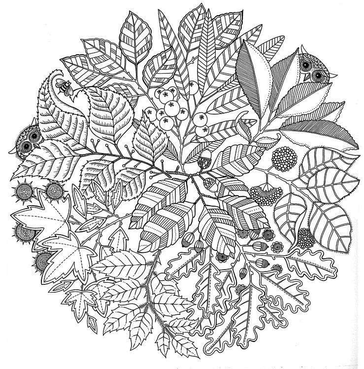 Beautiful Fall Mandala Coloring Page Mandalas