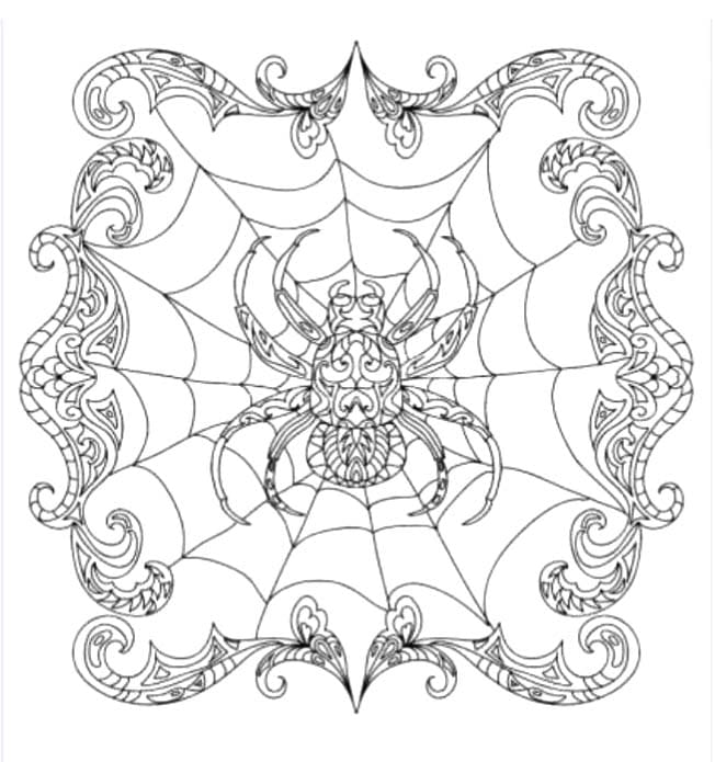 Beautiful Spider Mandala Coloring Page Mandalas