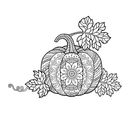 Beauty Fall Mandala Coloring Page Mandalas