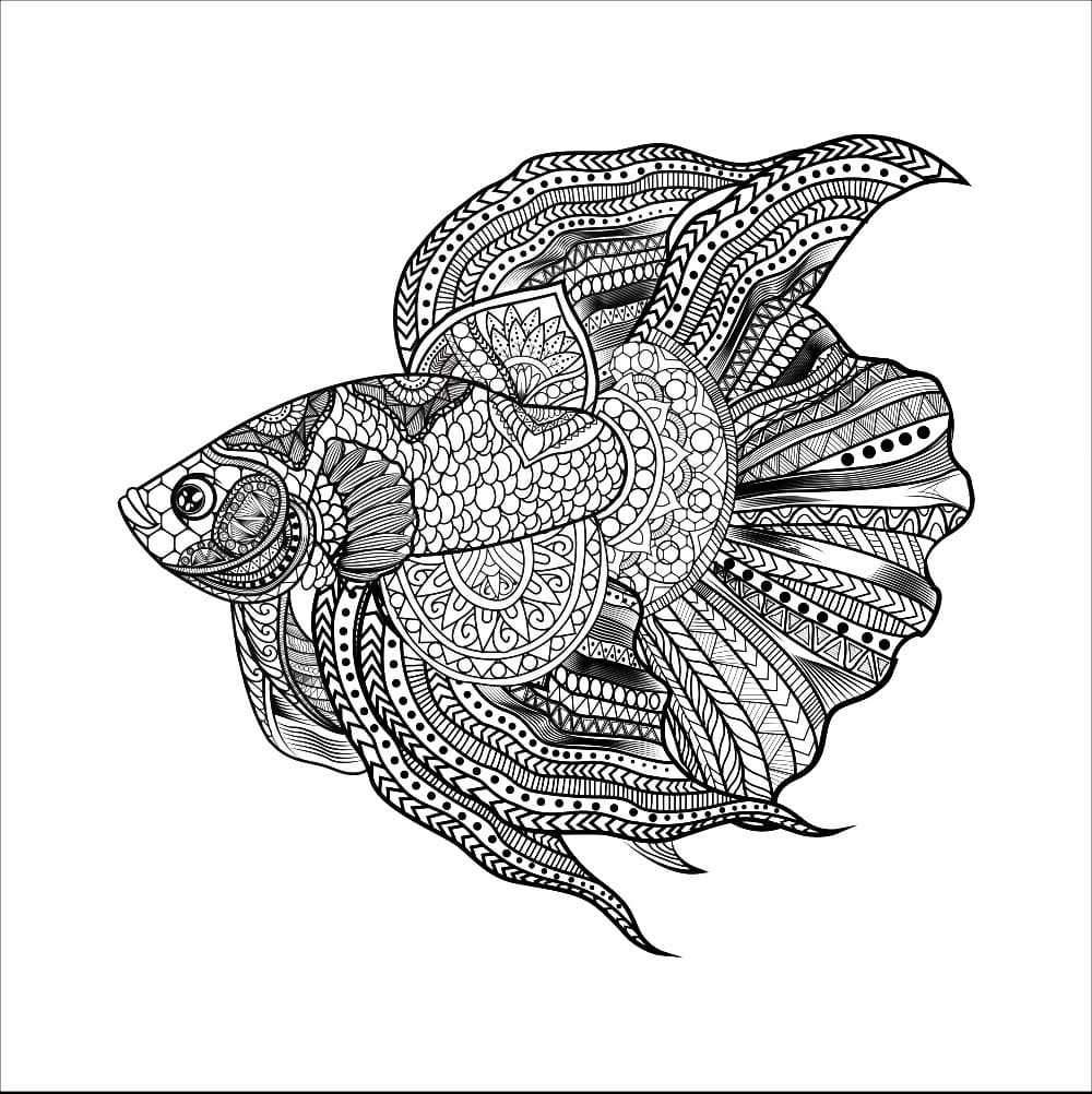 Beta Fish Mandala Coloring Page Mandalas