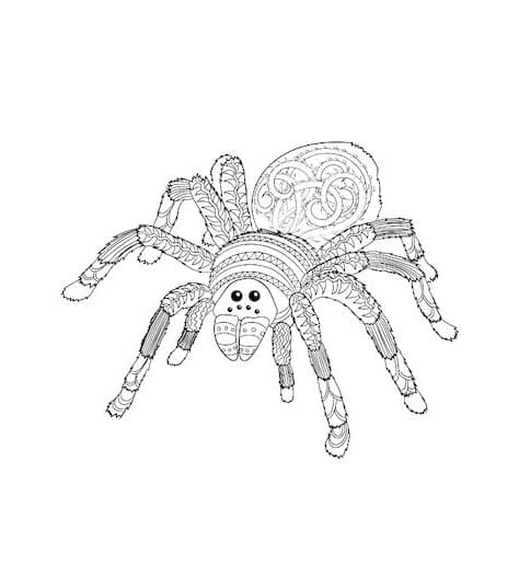 Draw Spider Mandala Coloring Page Mandalas