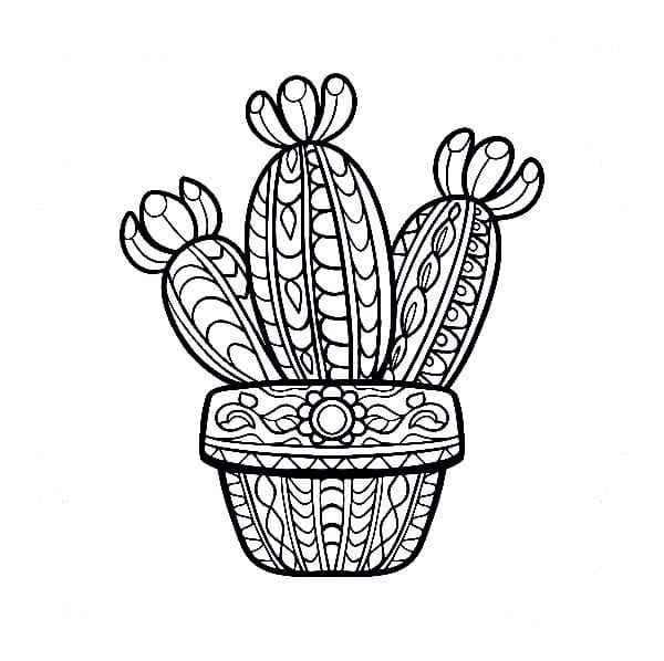 Free Print Cactus Mandala Coloring Page Mandalas