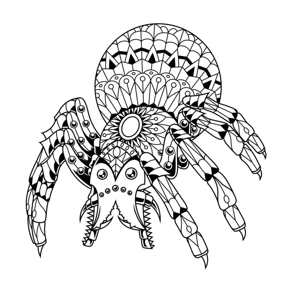 Free Printable Spider Mandala Coloring Page Mandalas
