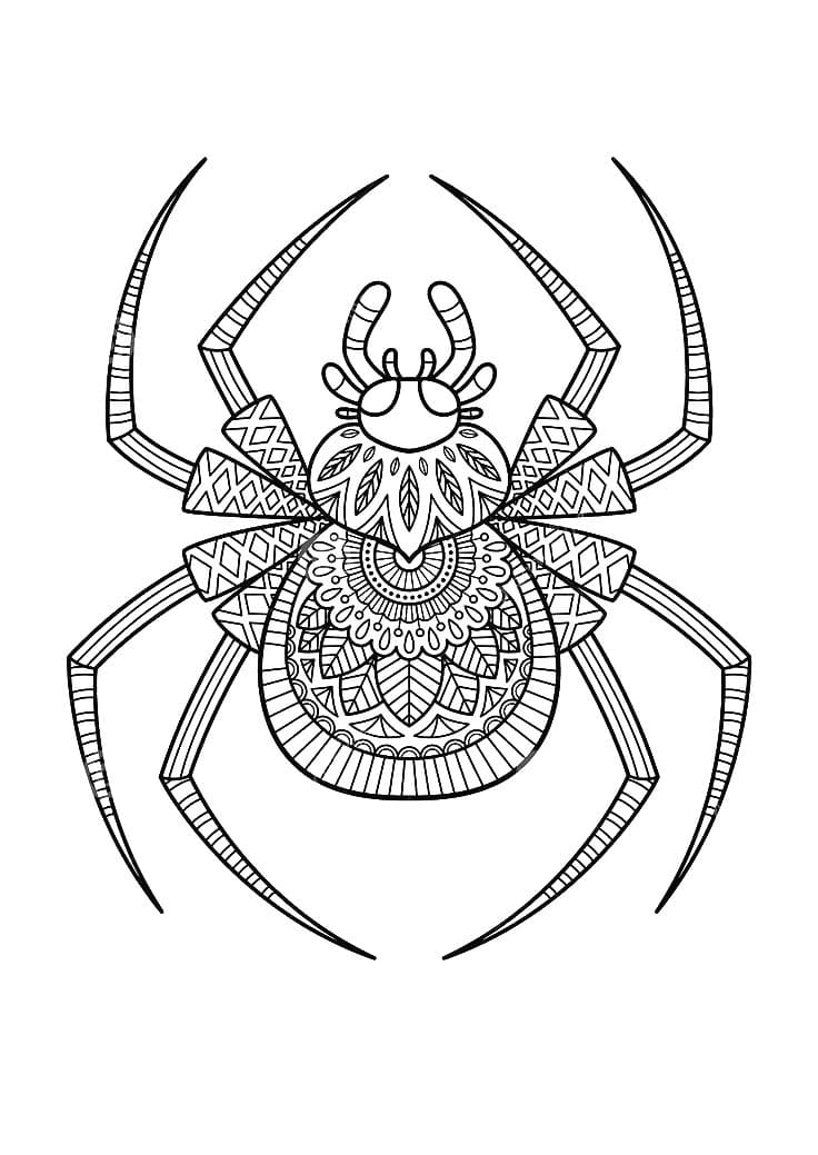 Free Spider Mandala Coloring Page Mandalas
