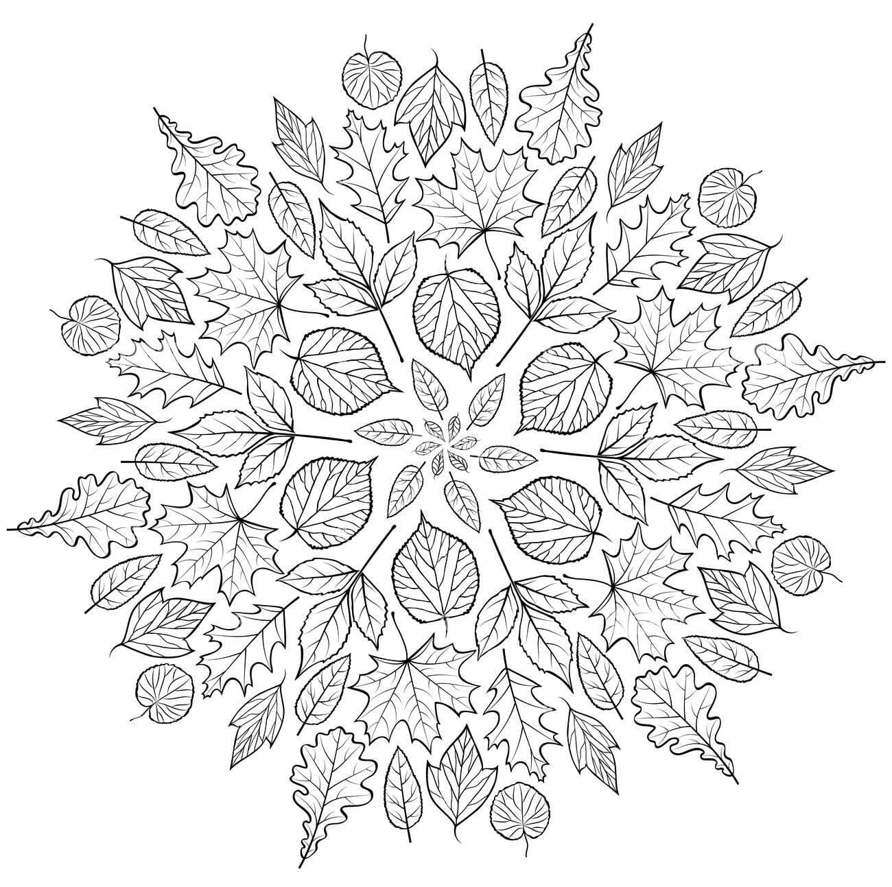 Great Fall Mandala Coloring Page Mandalas