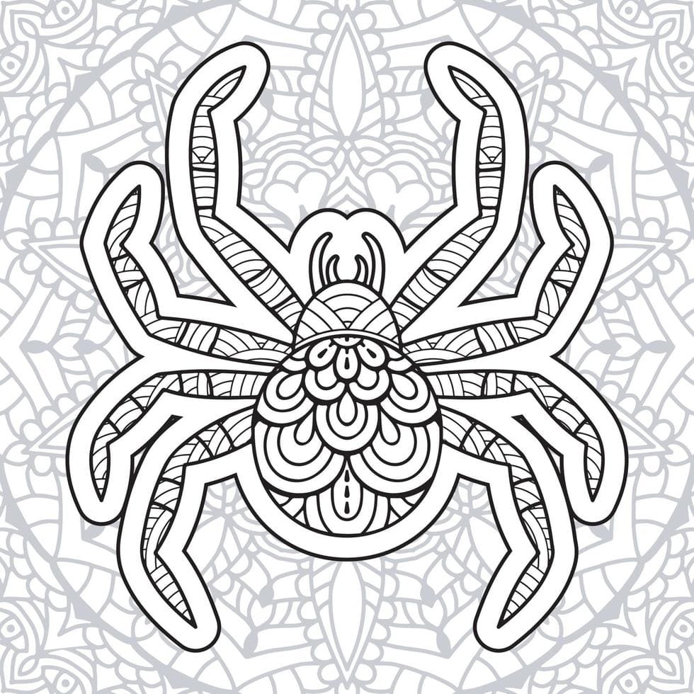 Great Spider Mandala Coloring Page Mandalas