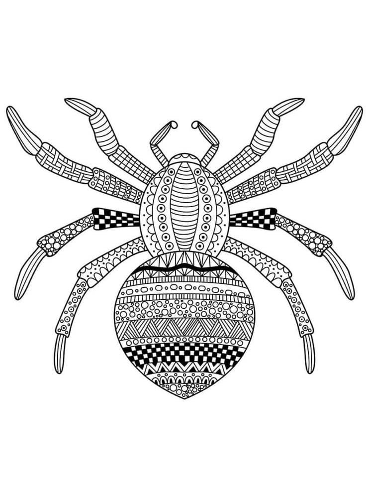 Image Spider Mandala Coloring Page Mandalas