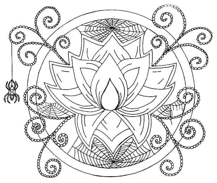 Nice Spider Mandala Coloring Page Mandalas