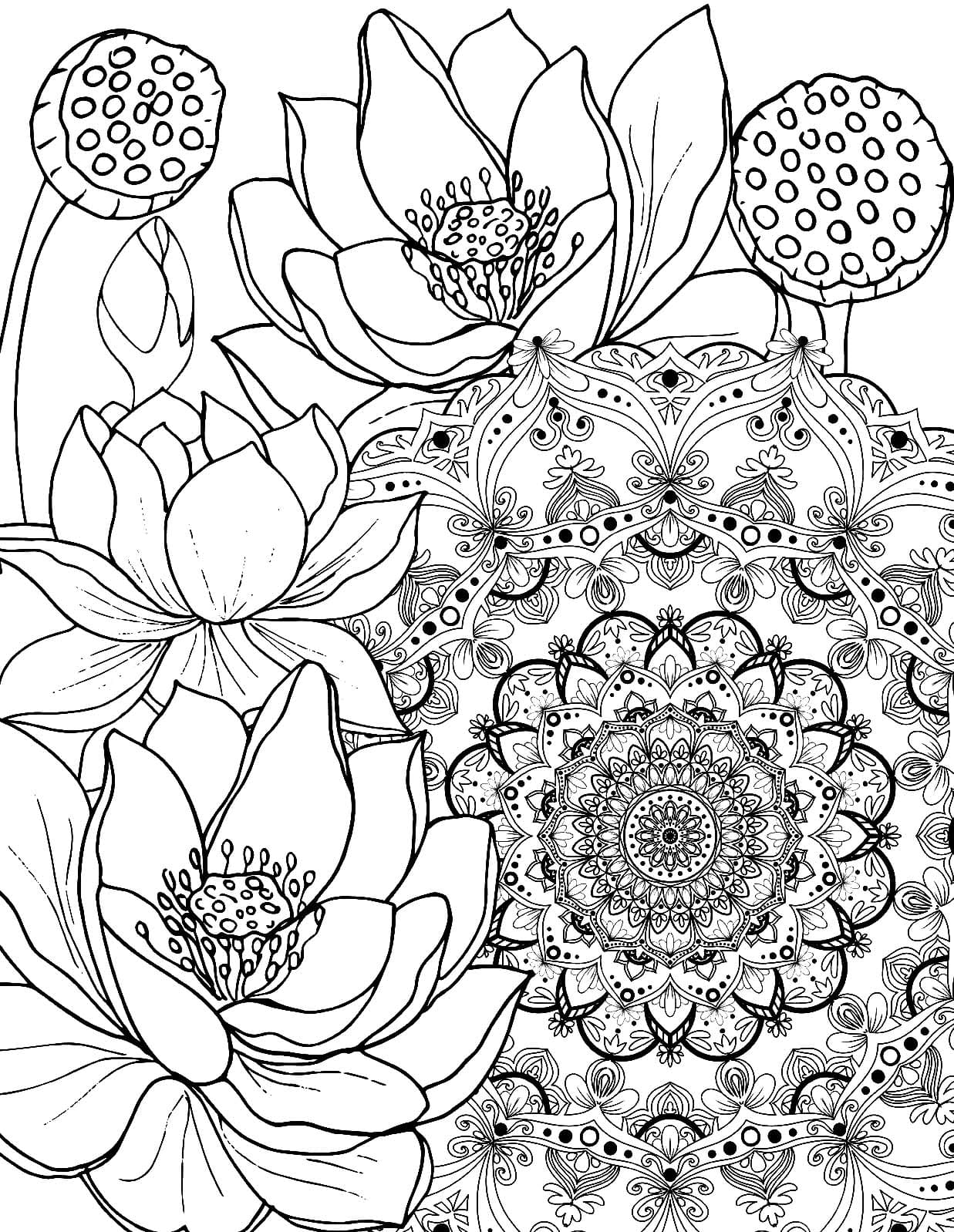 Perfect Lotus Mandala Coloring Page Mandalas