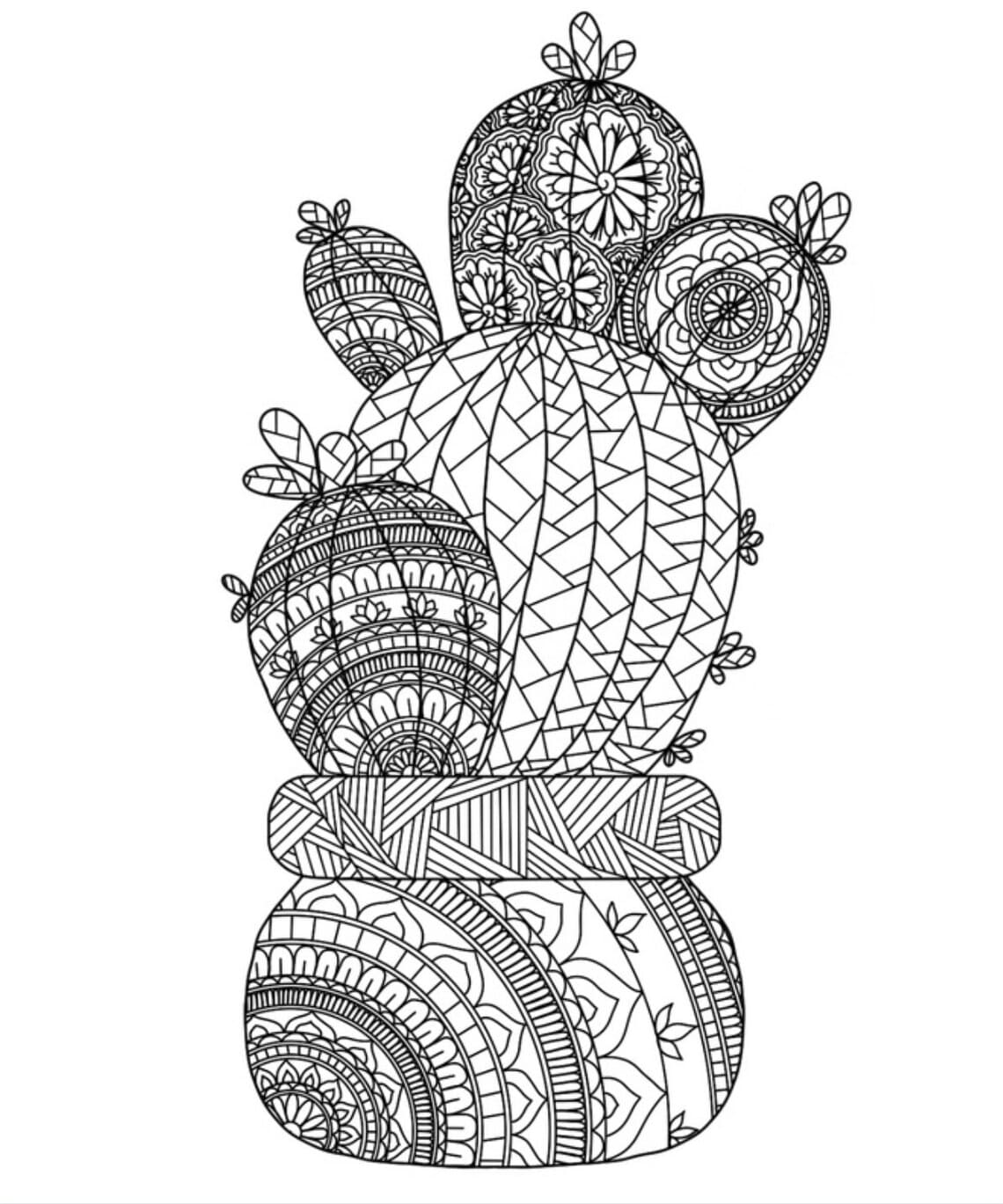 Picture Free Cactus Mandala Coloring Page Mandalas