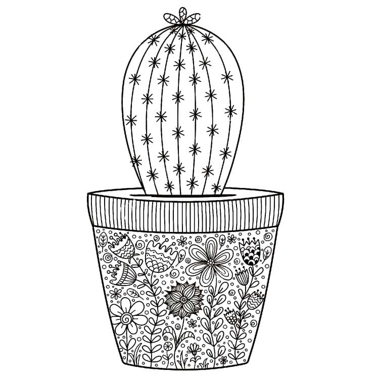 Pictures Cactus Mandala Coloring Page Mandalas