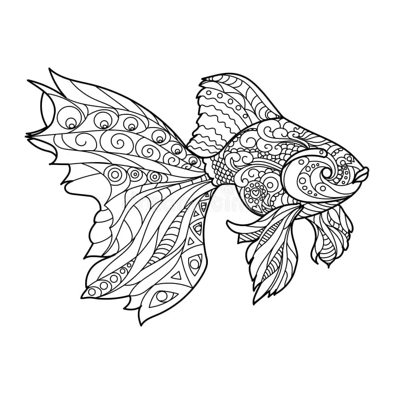 Print Fish Mandala Coloring Page Mandalas
