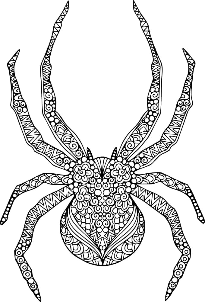 Print Spider Mandala Coloring Page Mandalas