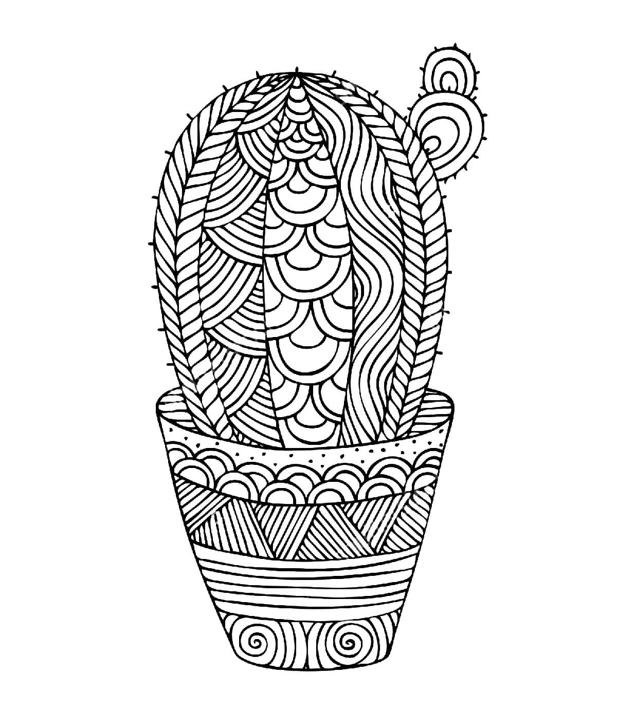 Printable Cactus Mandala Coloring Page Mandalas