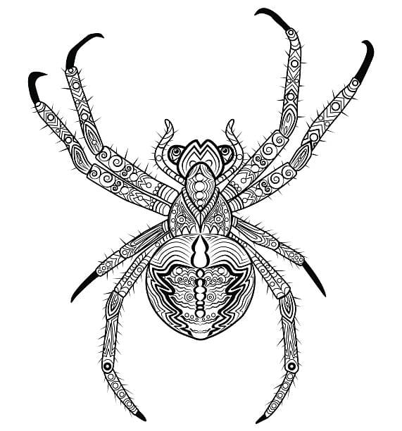Spider Mandala For Adult Coloring Page Mandalas