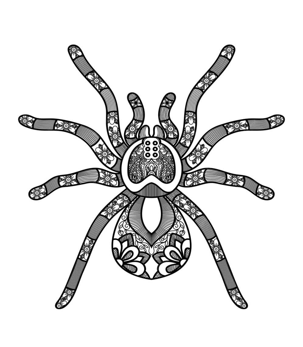 Spider Mandala Free Coloring Page Mandalas