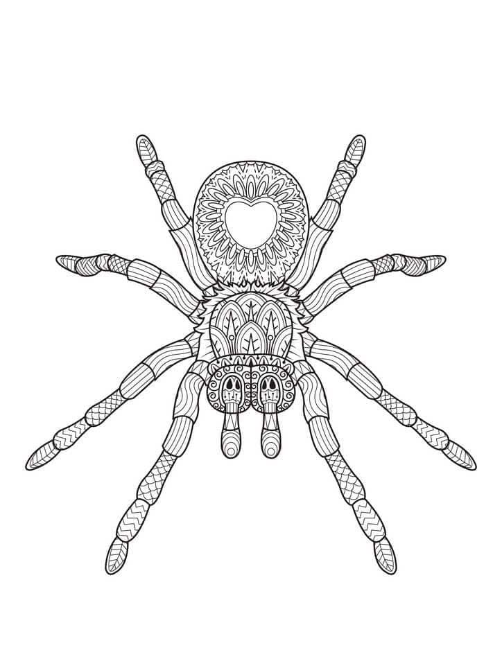 Spider Mandala Free For Kids Coloring Page Mandalas