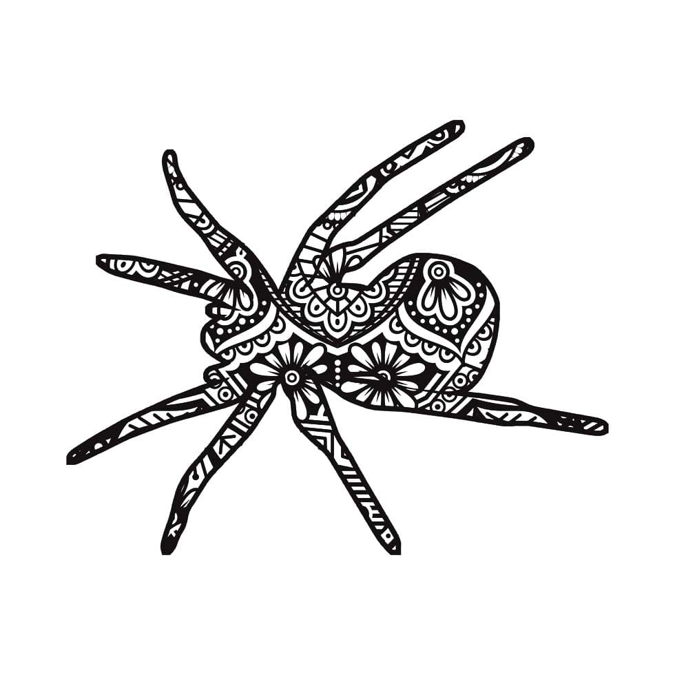 Spider Mandala Image Coloring Page Mandalas