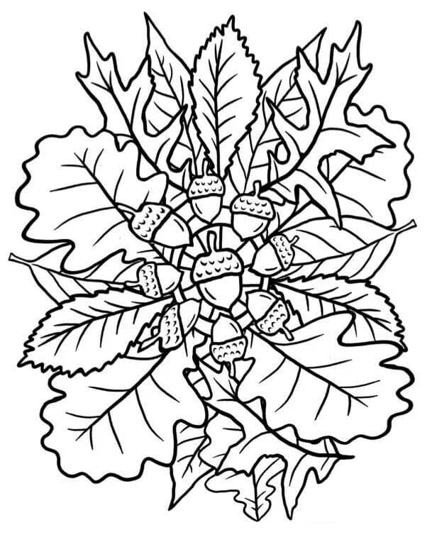 Very Nice Fall Mandala Coloring Page Mandalas