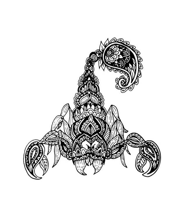 Basic Scorpion Mandala Coloring Page Mandalas