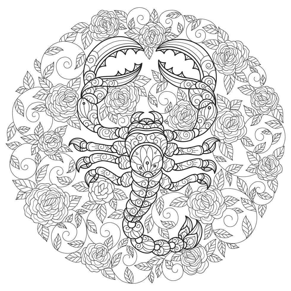 Beautiful Scorpion Mandala Coloring Page Mandalas