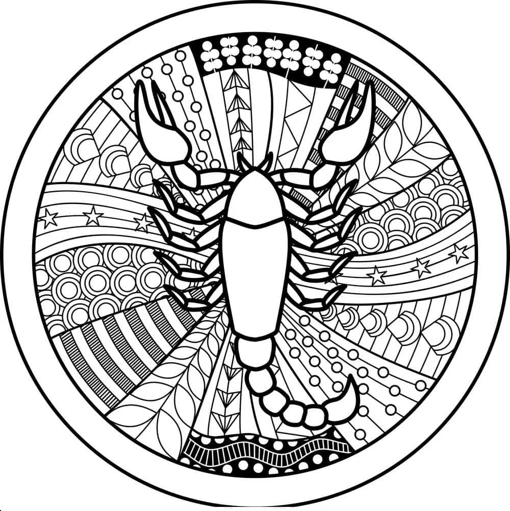 Cute Scorpion Mandala Coloring Page Mandalas