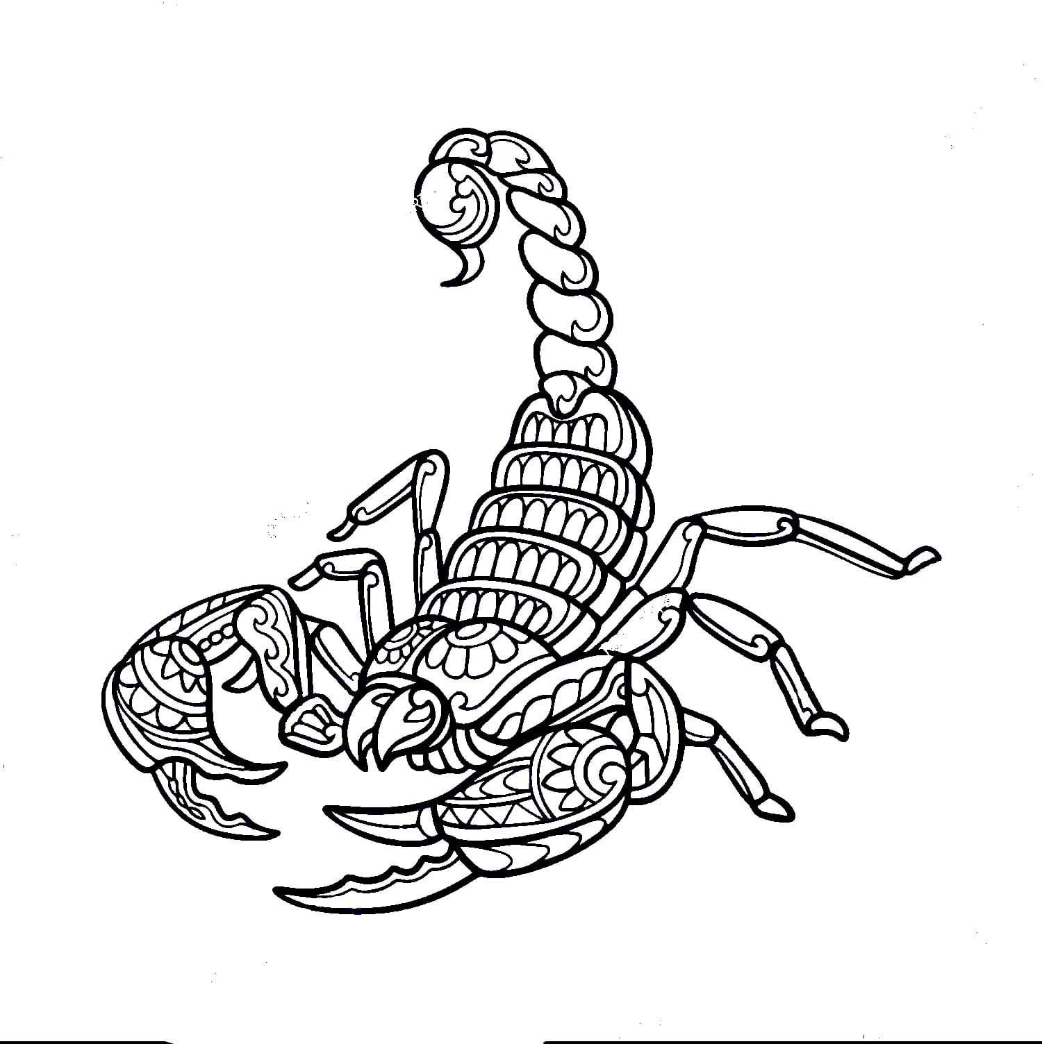 Draw Scorpion Mandala Coloring Page Mandalas