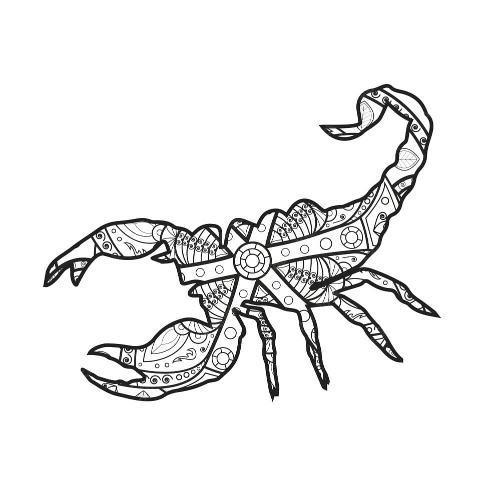 Drawing Scorpion Mandala Coloring Page Mandalas