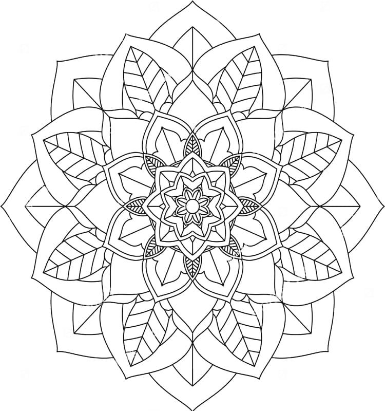 Free Image Leaves Mandala Coloring Page Mandalas Free Image Leaves Mandala Coloring Page Mandalas
