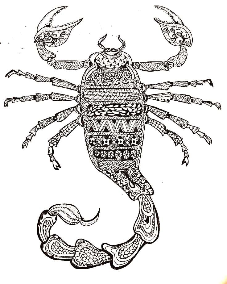 Free Image Scorpion Mandala Coloring Page Mandalas