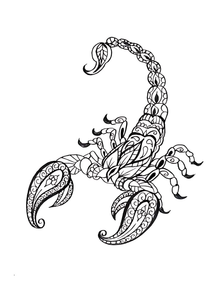 Free Scorpion Mandala Coloring Page Mandalas