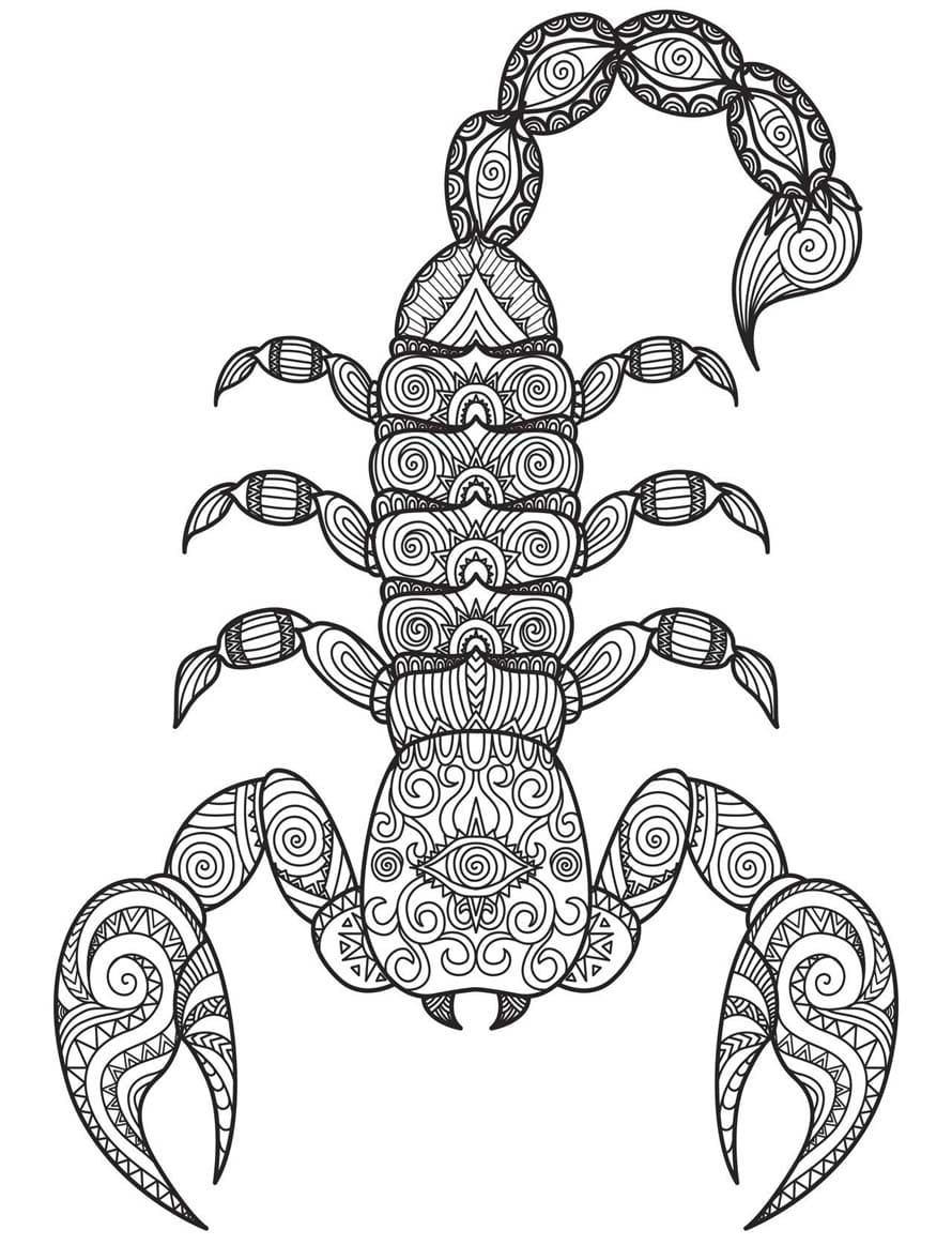 Image Scorpion Mandala Coloring Page Mandalas