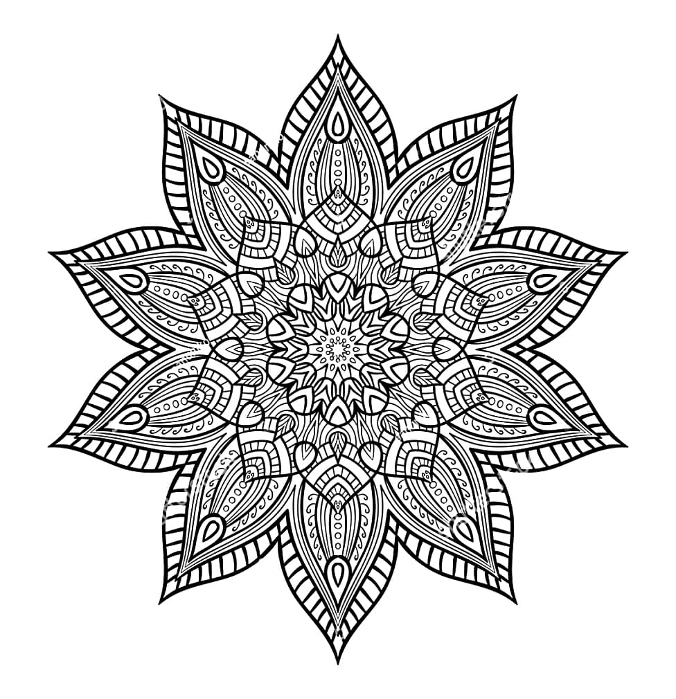 Nice Leaves Mandala Coloring Page Mandalas Nice Leaves Mandala Coloring Page Mandalas